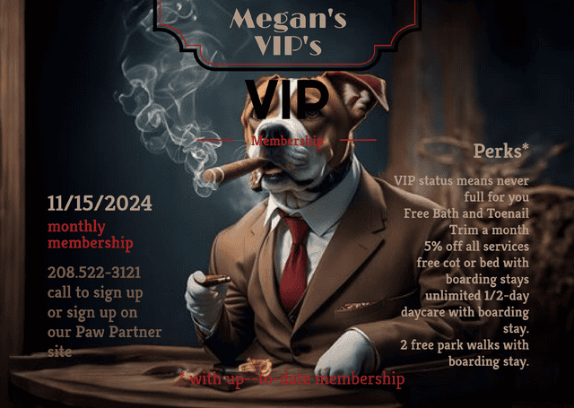 VIP Memberships at Megan's Northgate Animal Boarding