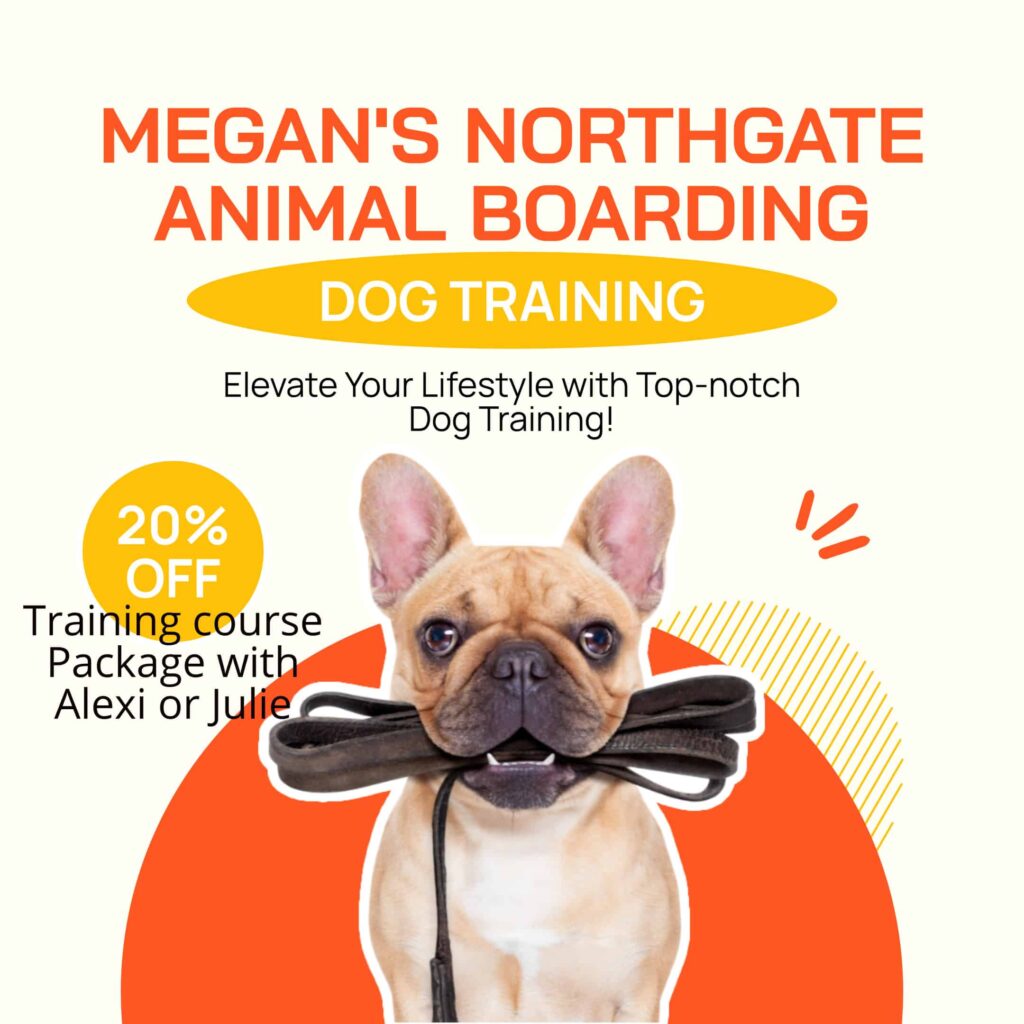 Instagram-Post-1080x1080-px-9