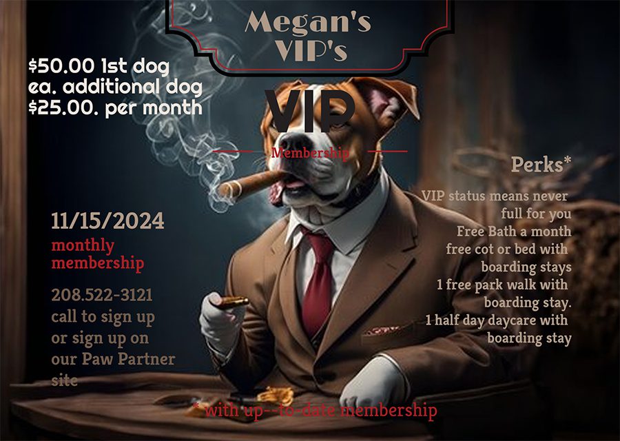 vip-membership